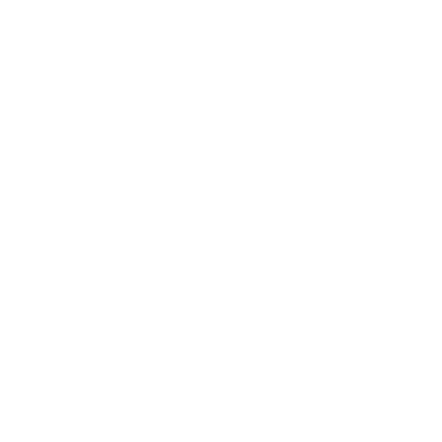 FENUA GROOVE 